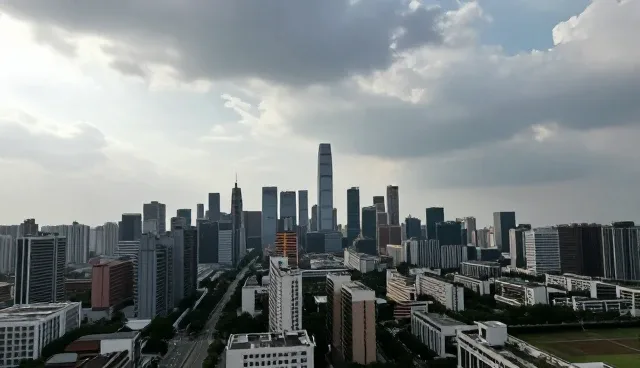 系统集成部署中的技术转让实践与维护要点